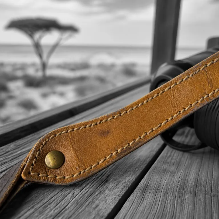 Ongava Lodge: a refined safari retreat on the edge of Etosha